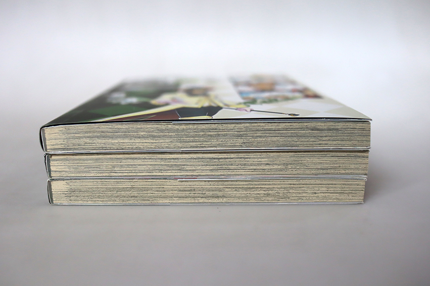 อลิซในดินแดนโคลเวอร์ ( 3 เล่มจบ )