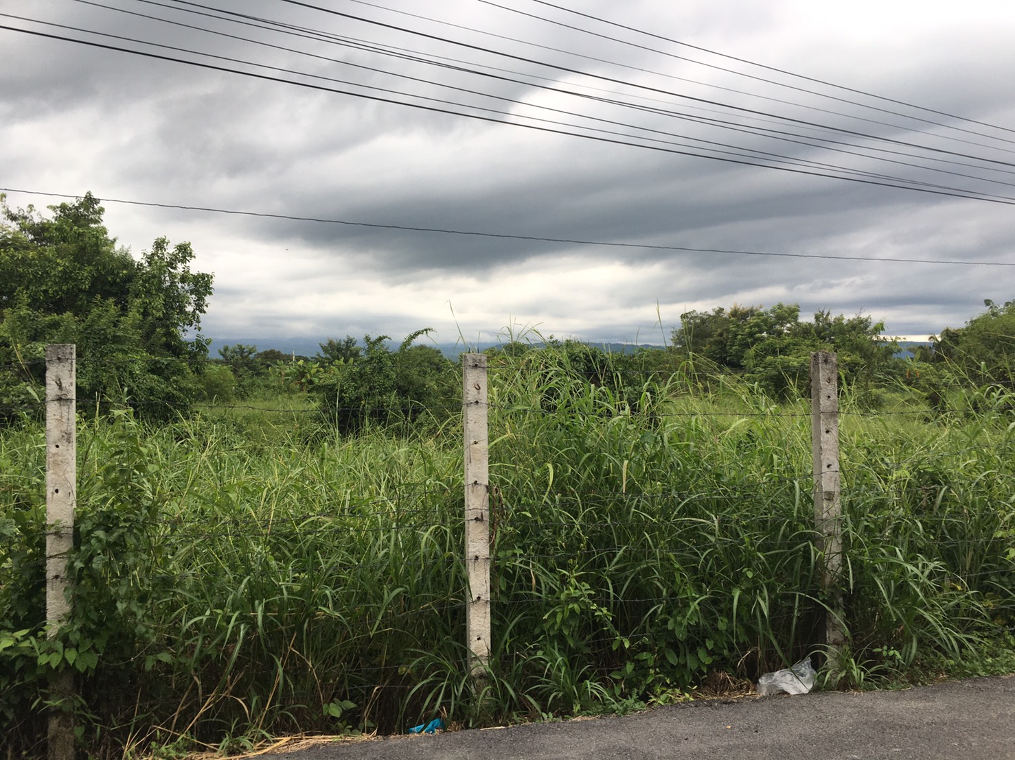 ขายที่ดินติดวัดหลวงพ่อปากแดง พื้นที่ 2 ไร่ 2 งาน 1ตารางวา ต.สาลิกา อ.เมือง จ.นครนายก