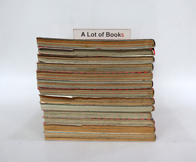 แง้วแง้ว แมวอย่างเดียวไม่เกี่ยวกับคน ( 13 เล่มจบ )