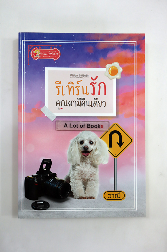 รีเทิร์นรักคุณสามีคืนเดียว