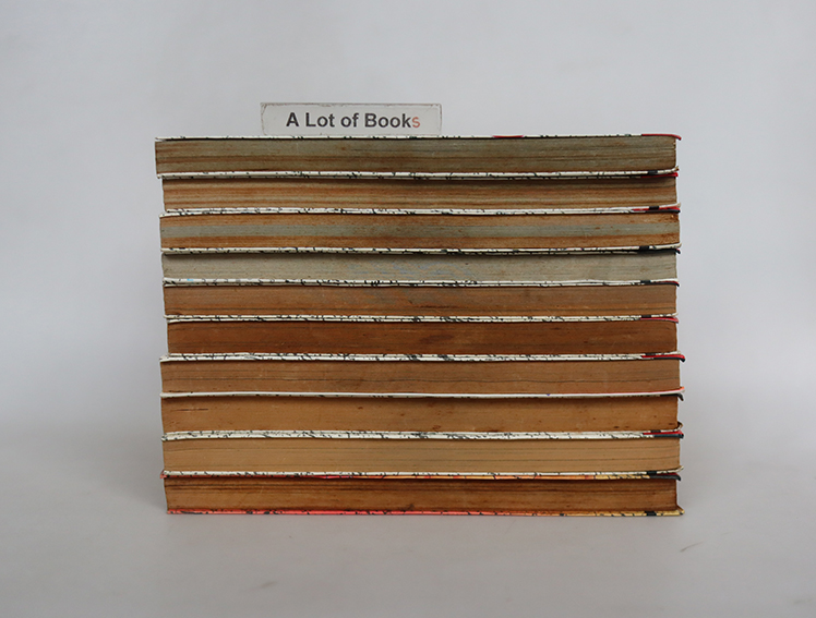 ดราก้อนเควสต์ ภาค แผ่นดินมายา ( 10 เล่มจบ )