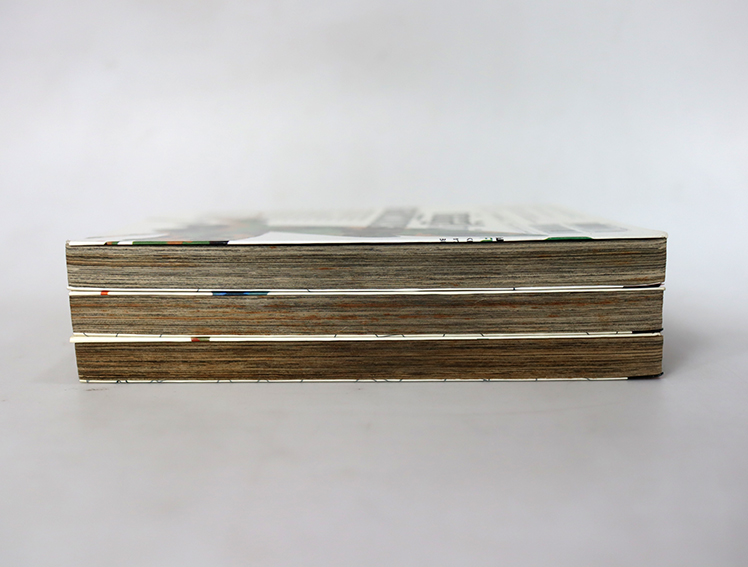 BUGS บักส์ ( 3 เล่มจบ )