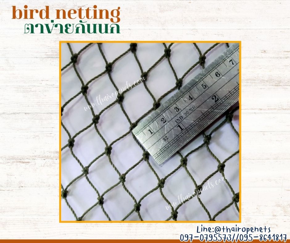 ตาข่ายกั้นเขตบริเวณกั้นนก bird netting สีเขียวขี้ม้า ความสูง 5 เมตร รุ่นหนา 1 มิล ช่องตา 2x2 cm. กดเลือกความยาวตามต้องการได้เลยค่ะ