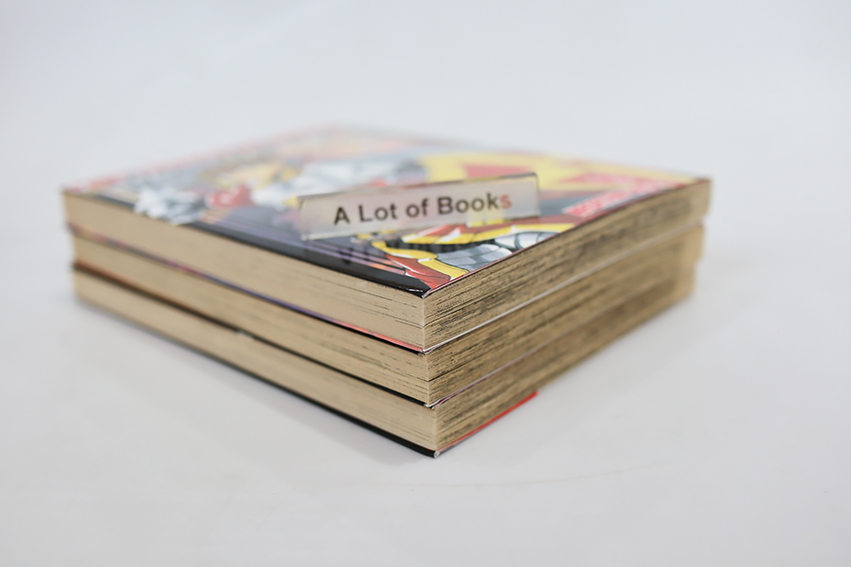 ร็อคเวลล์ ศึกอัศวินผ่าแดนมังกร ( 3 เล่มจบ )