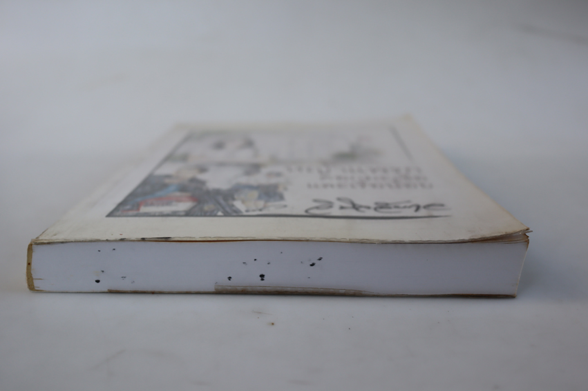 หญ้าแพรก ดอกมะเขือ และเรือน้อย