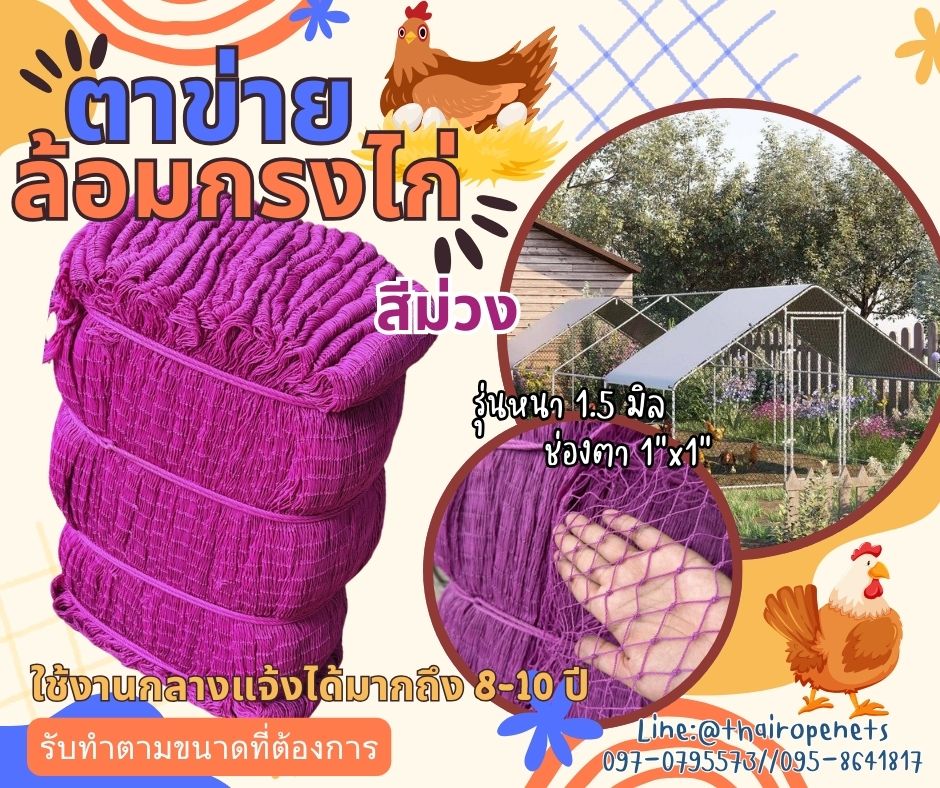 ตาข่ายล้อมกรงไก่ HDPE สีม่วง รุ่นหนา 1.5 มิล ช่องตา 1x1 นิ้ว เคลือบสารป้องกัน UV ทนแดด ทนฝน ใช้งานกลางแจ้ง มากกว่า 8-10 ปี
