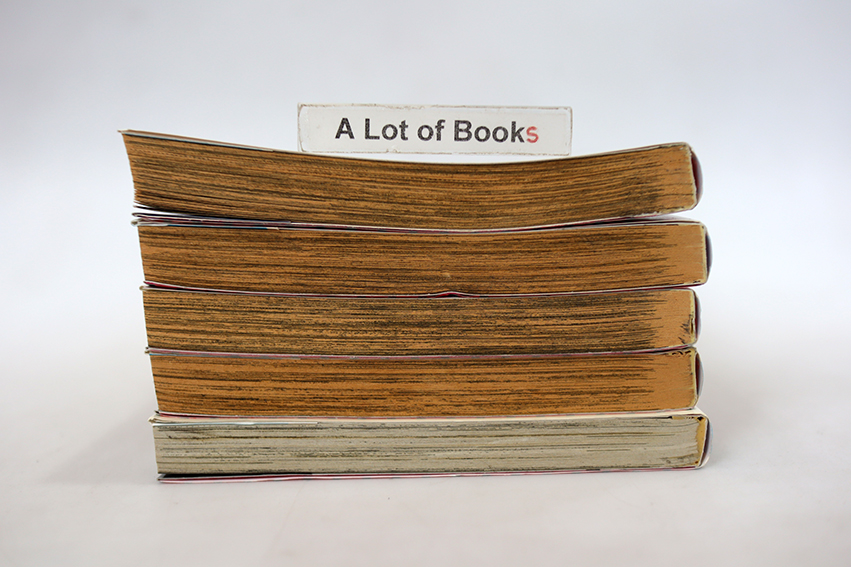 เรียกเธอว่ายอดคุณเมด ( 5 เล่มจบ )