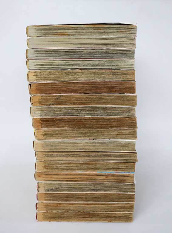 SMASH! ( 18 เล่มจบ )