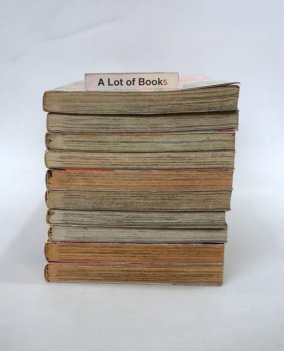 RideBack ไรด์แบ็ค ( 10 เล่มจบ )