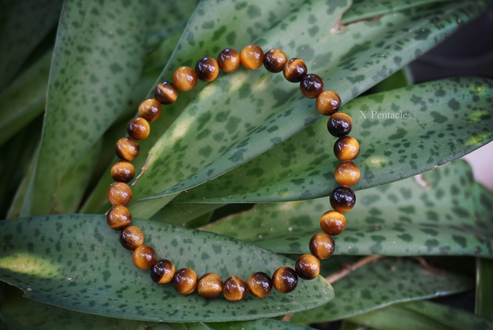 กำไลไทเกอร์อาย (Tiger,s eye)