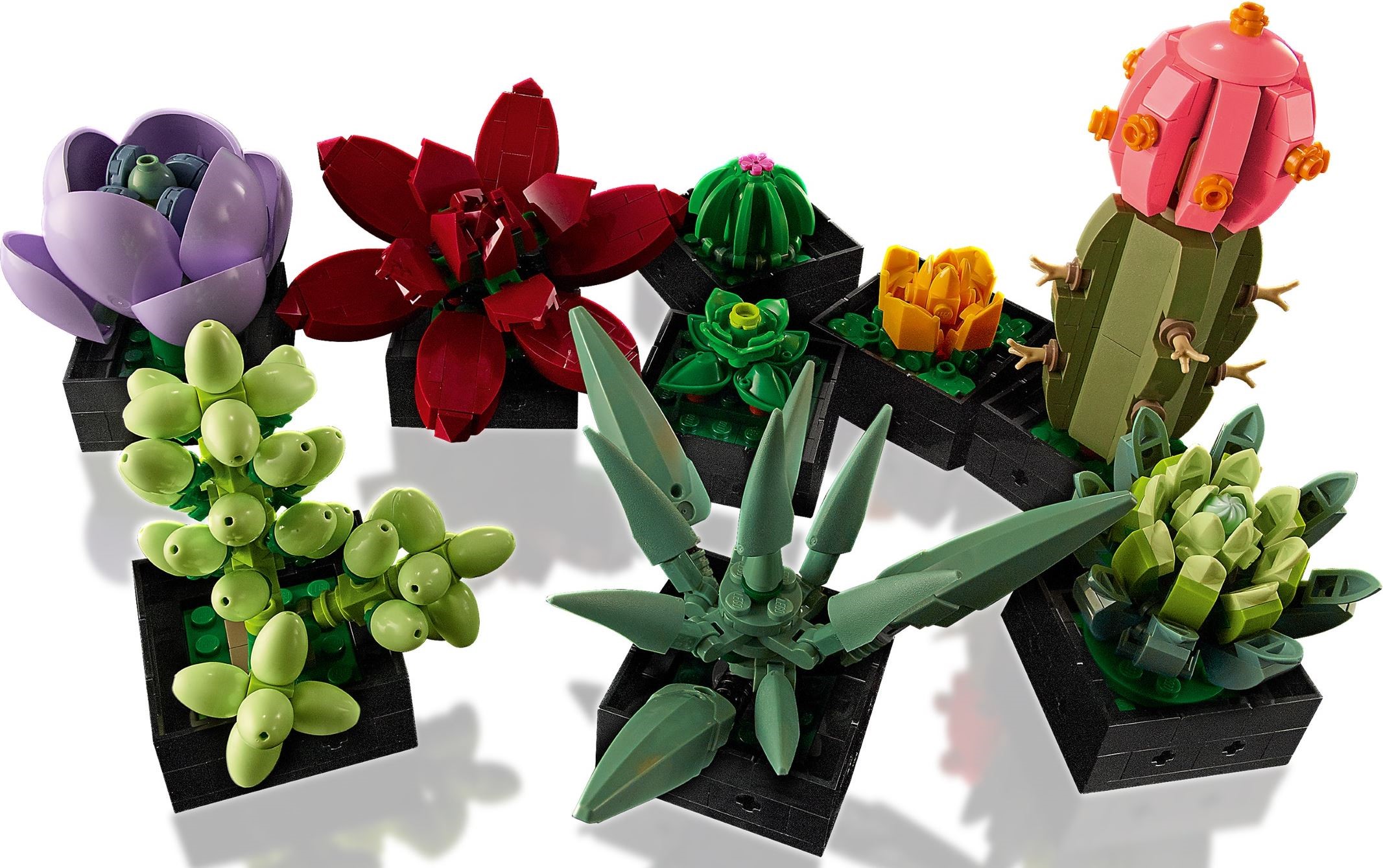 LEGO เลโก้ 10309 Succulents