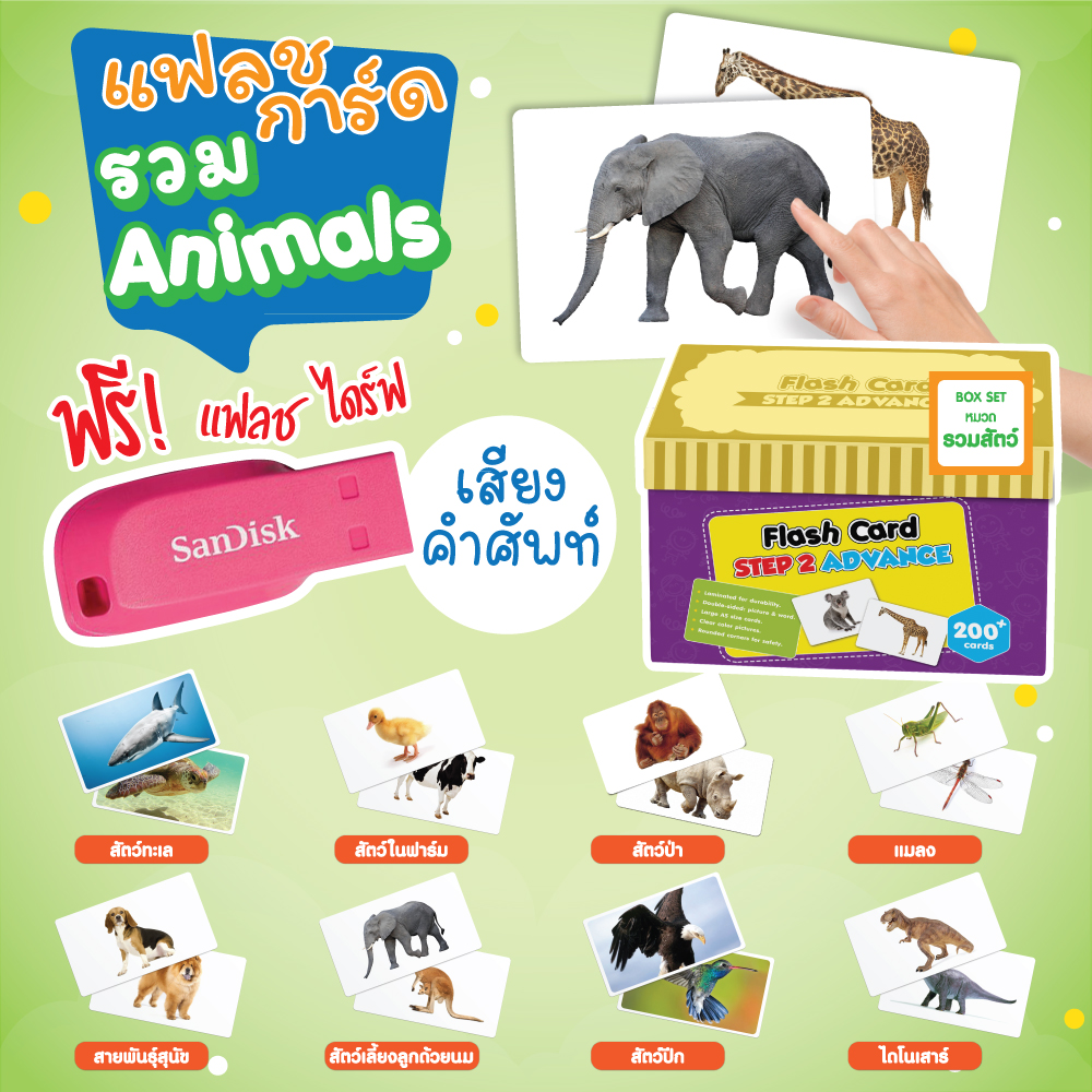 แฟลชการ์ด แถม USB (Boxset)