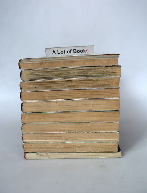 เขาคนนี้ผีดูดเลือด ( 9 เล่มจบ )