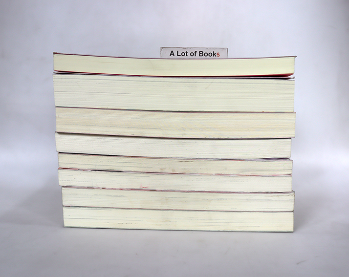 นิยายแจ่มใส เลิฟซีรี่ย์ - แสตมป์เบอรี่