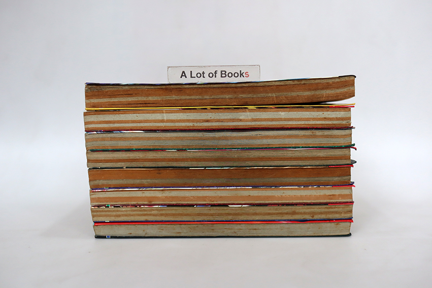 โทงาริ อสูรล่าวิญญาณ ( 8 เล่มจบ )