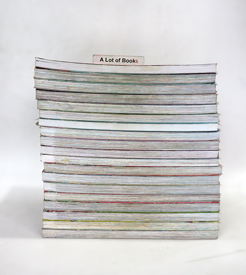 การ์ตูนความรู้ชุด สาวน้อยคนเก่ง