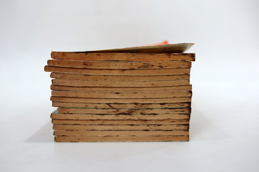 หลักโลหิต (15 เล่มจบ)