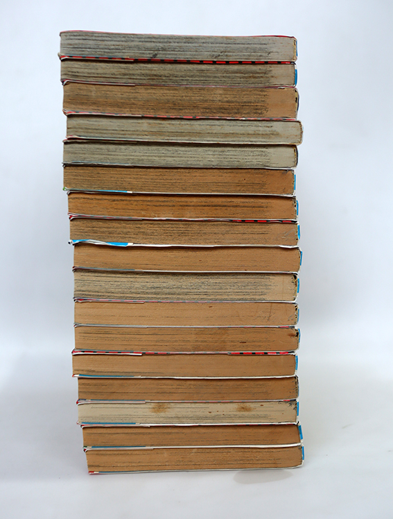 สาวน้อยต่อยหนัก ( 17 เล่มจบ )