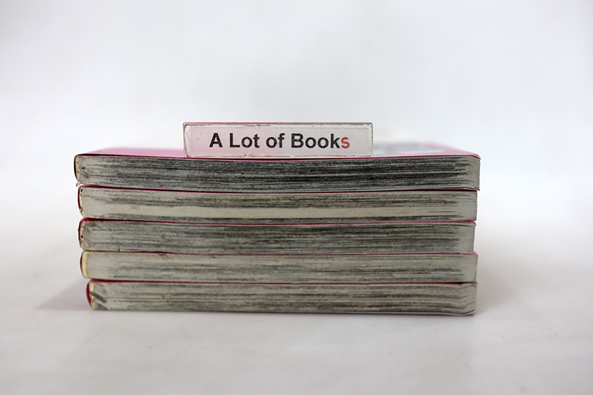 เรื่องวุ่น ๆ ของเหล่านักสืบโฮสต์สุดหล่อ ( 5 เล่มจบ )