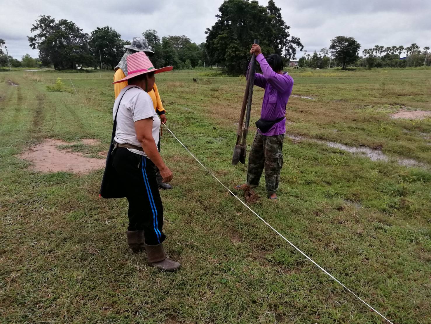 ขายที่ดิน ต.ท่าโพ อ.หนองขาหย่าง จ.อุทัยธานี มีเนื้อที่ทั้งหมด 3 แปลง ขายไร่ล่ะ 200,000 บาท