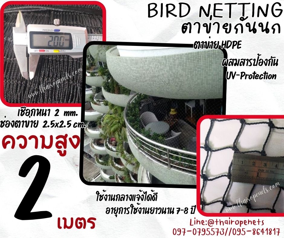 ตาข่ายกั้นนกเช้า-ออก bird netting ความสูง 2 เมตร เชือกหนา 2 มิล ช่องตา 2.5 cm.กดเลือกความยาวตามต้องการได้เลยค่ะ