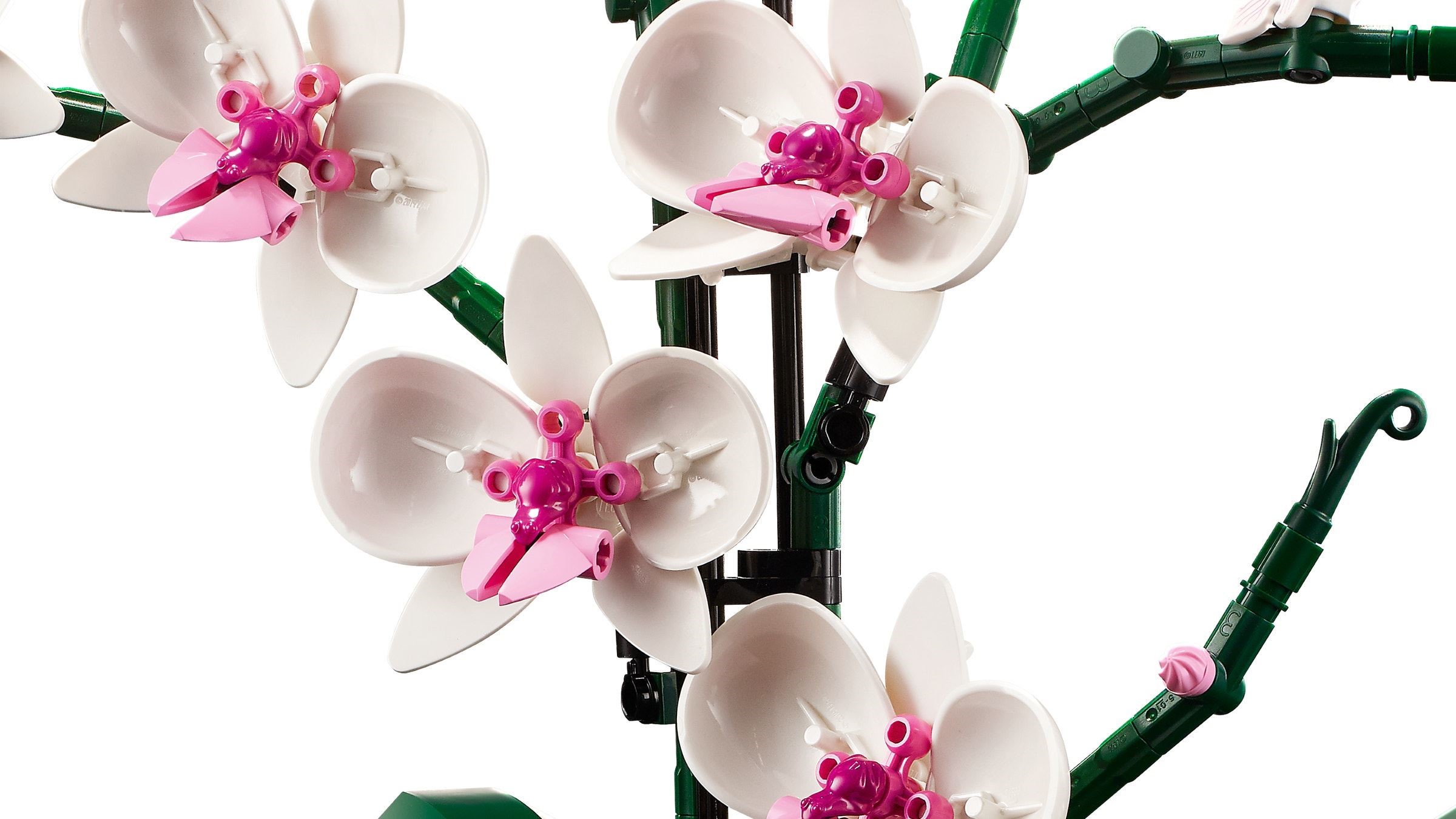 LEGO เลโก้ 10311 Orchid