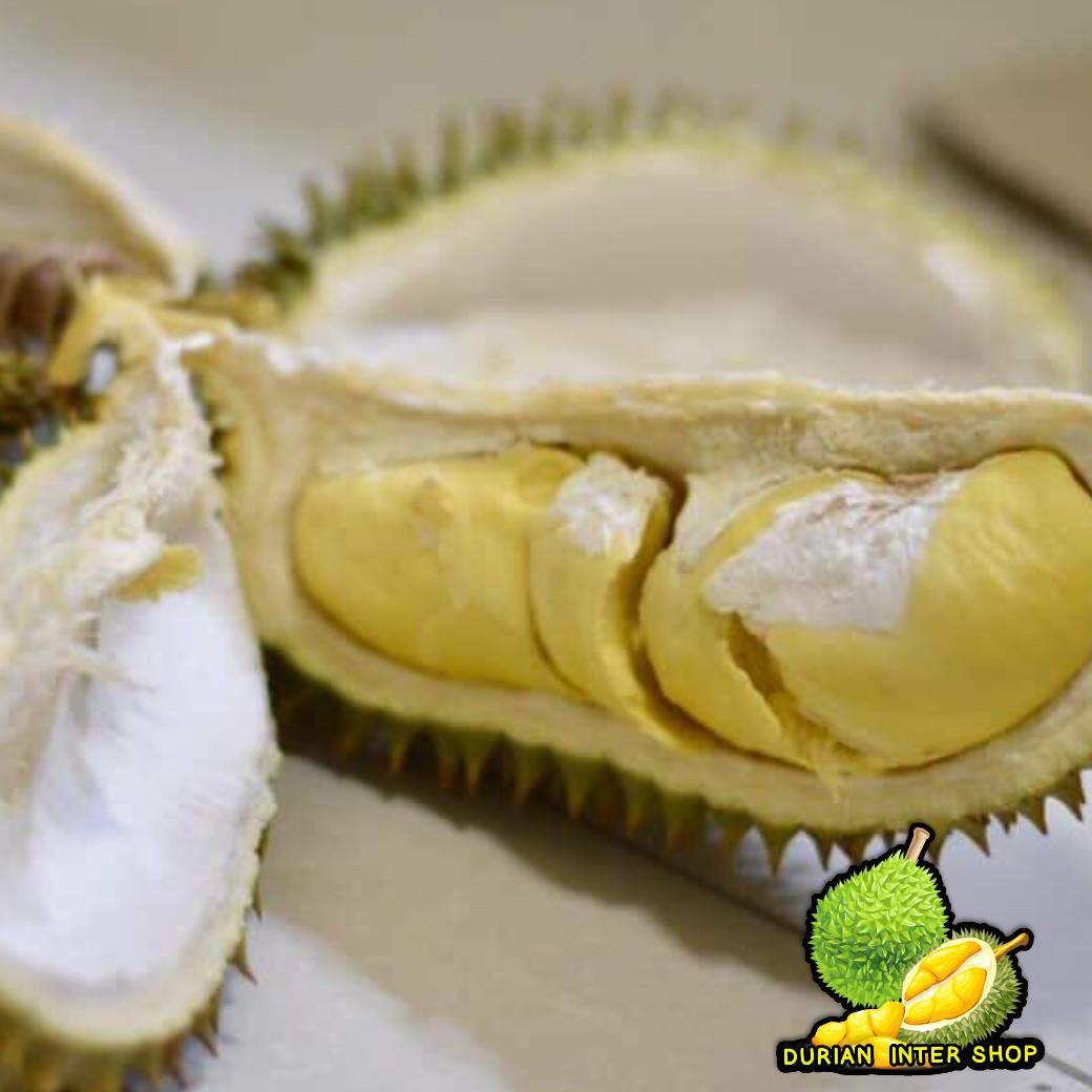 ทุเรียนหลงลับแล