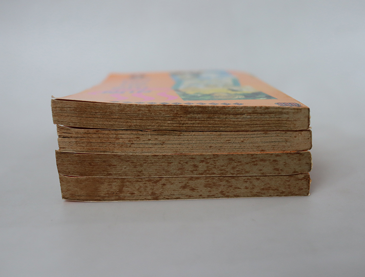 อุบัติเหตุรักอลเวง ( 4 เล่มจบ )