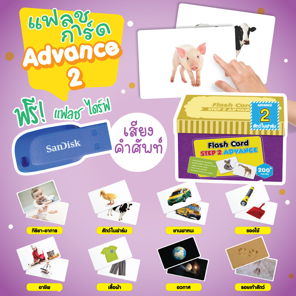 แฟลชการ์ด แถม USB (Boxset)