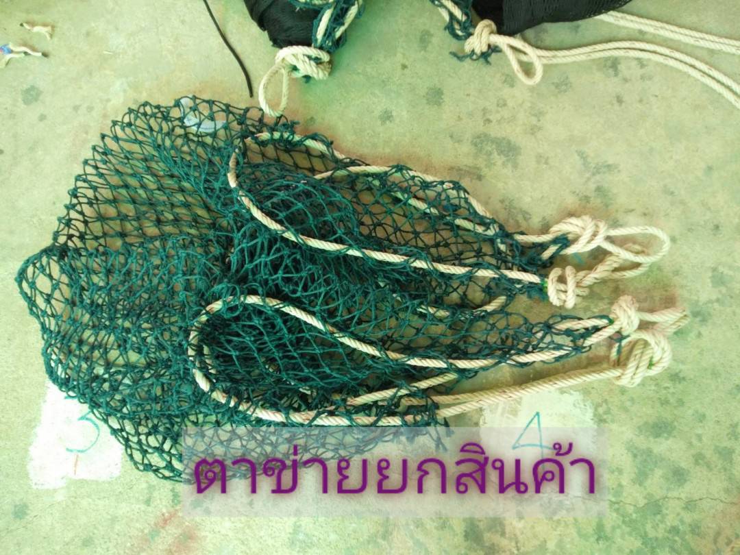 ตาข่ายยกมันสำปะหลัง พร้อมส่ง ตาข่ายย้ายของ CarringNet ย้าย/ยกสินค้าได้อย่างปลอดภัย