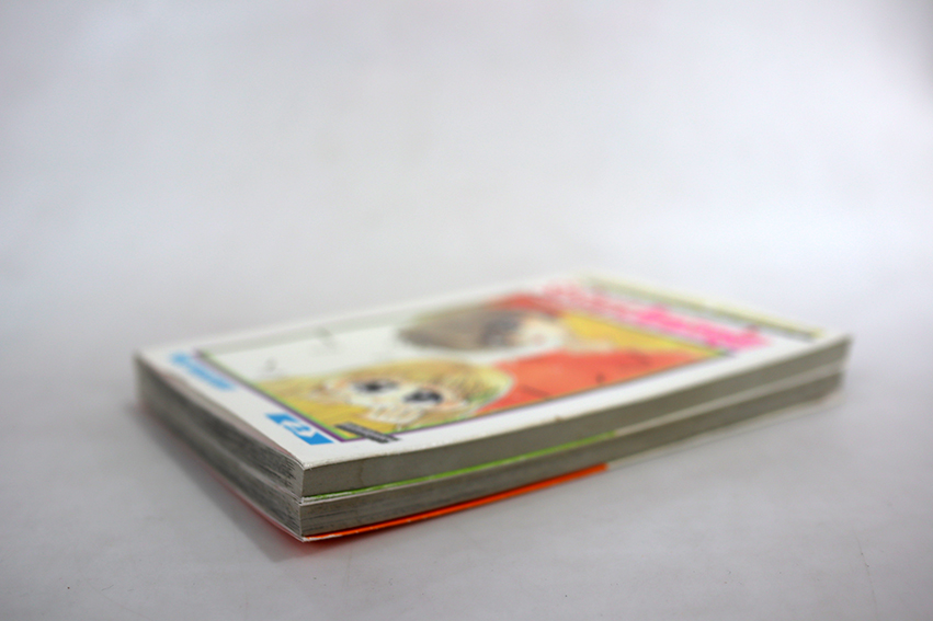 รักร้อน ๆ วัยแรกรุ่น ( 2 เล่มจบ )