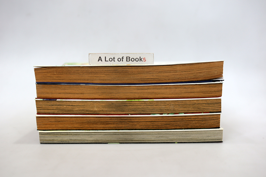 เรียกเธอว่ายอดคุณเมด ( 5 เล่มจบ )