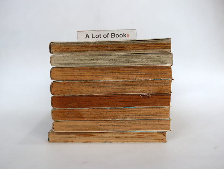 โยจินโบ ( 8 เล่มจบ )