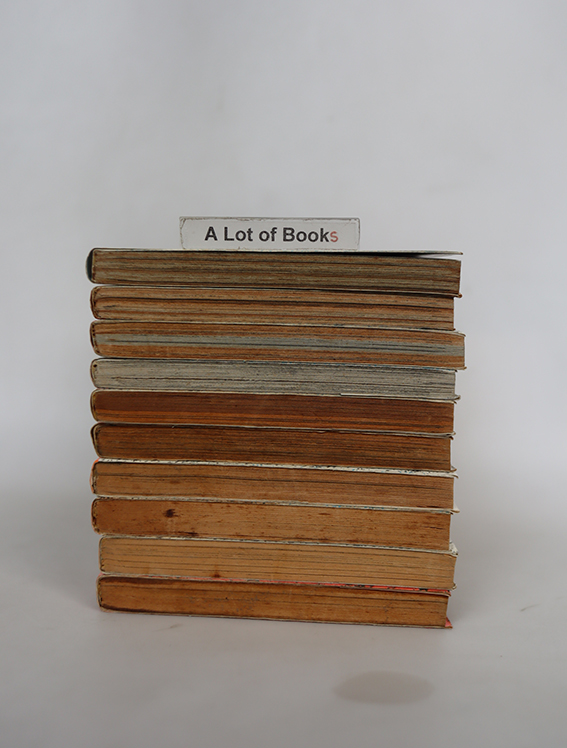 ดราก้อนเควสต์ ภาค แผ่นดินมายา ( 10 เล่มจบ )