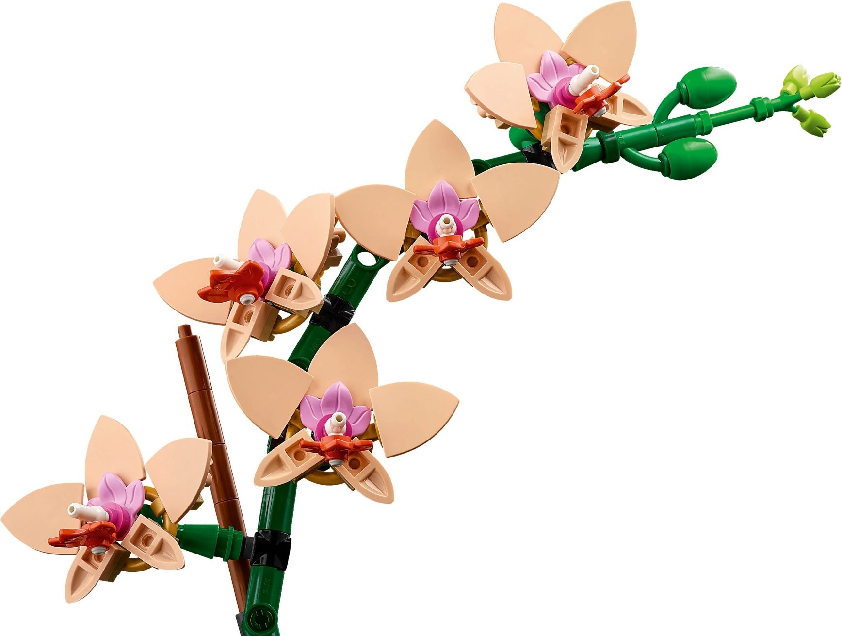 LEGO Botanical เลโก้ 10343 Mini Orchid