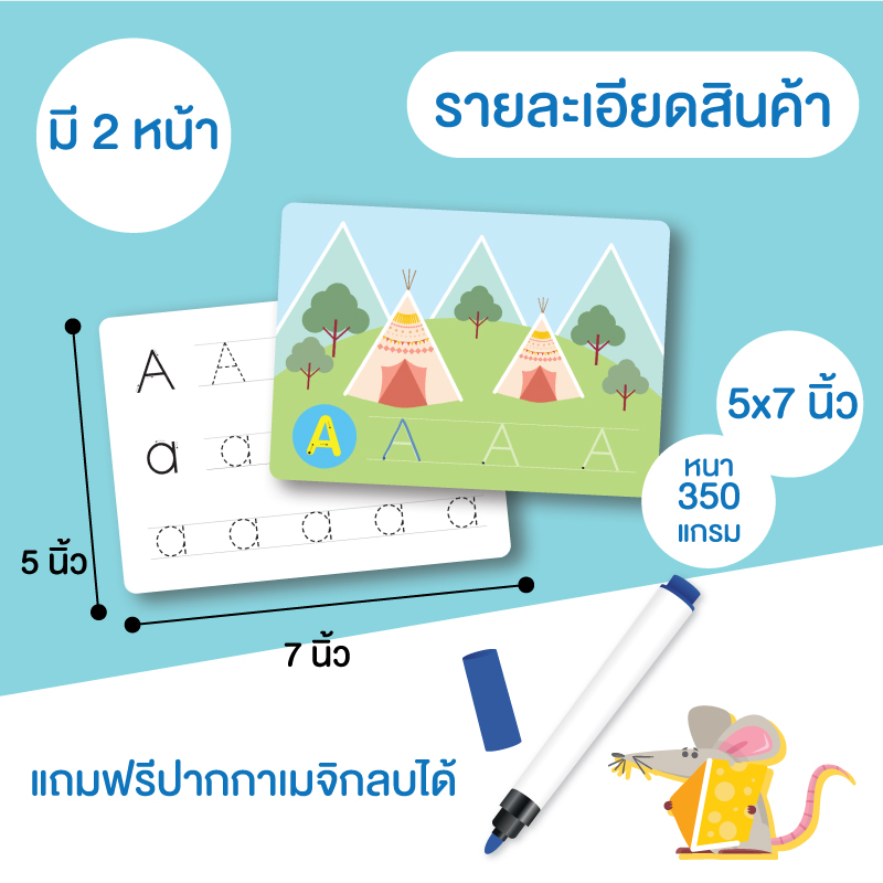 การ์ดกิจกรรม เขียนลบได้ (Wipe&Clean)