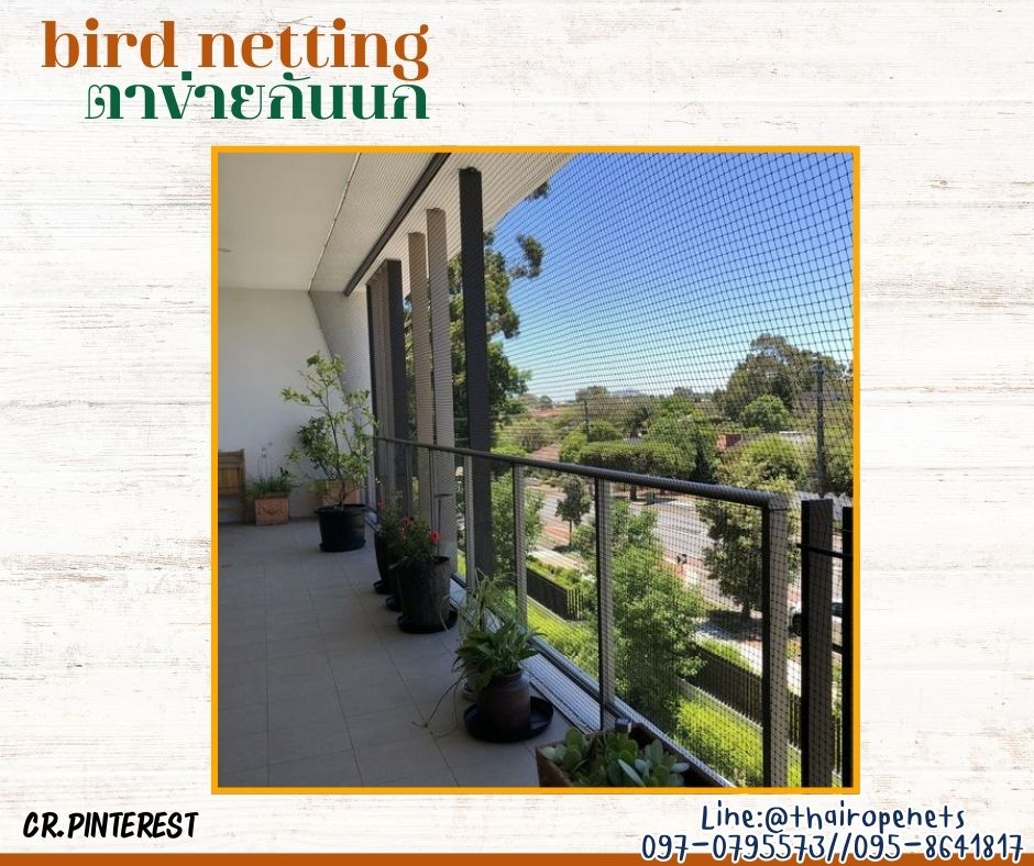 ตาข่ายกั้นเขตบริเวณกั้นนก bird netting สีเขียวขี้ม้า ความสูง 5 เมตร รุ่นหนา 1 มิล ช่องตา 2x2 cm. กดเลือกความยาวตามต้องการได้เลยค่ะ