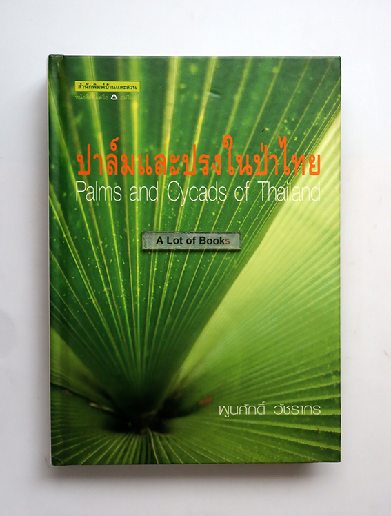 ปาล์มและปรงในป่าไทย