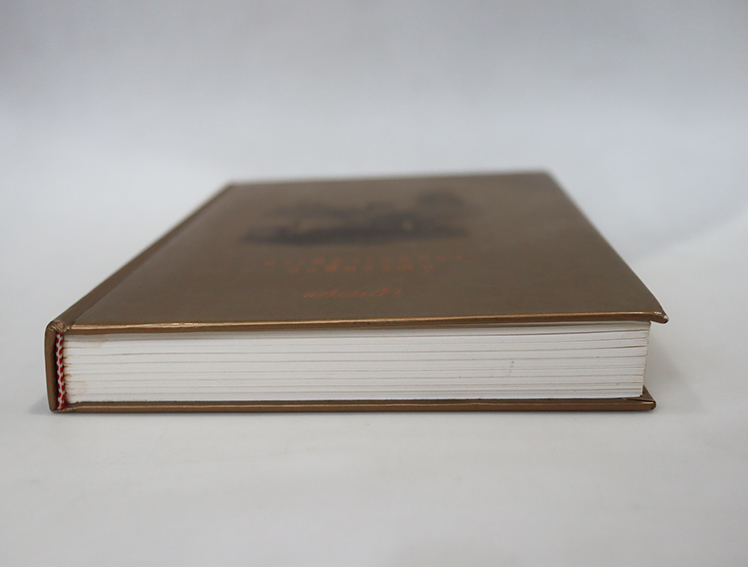 บารมีพระแม่ป้อง ปกพื้นธรณิน ( ปกแข็ง )