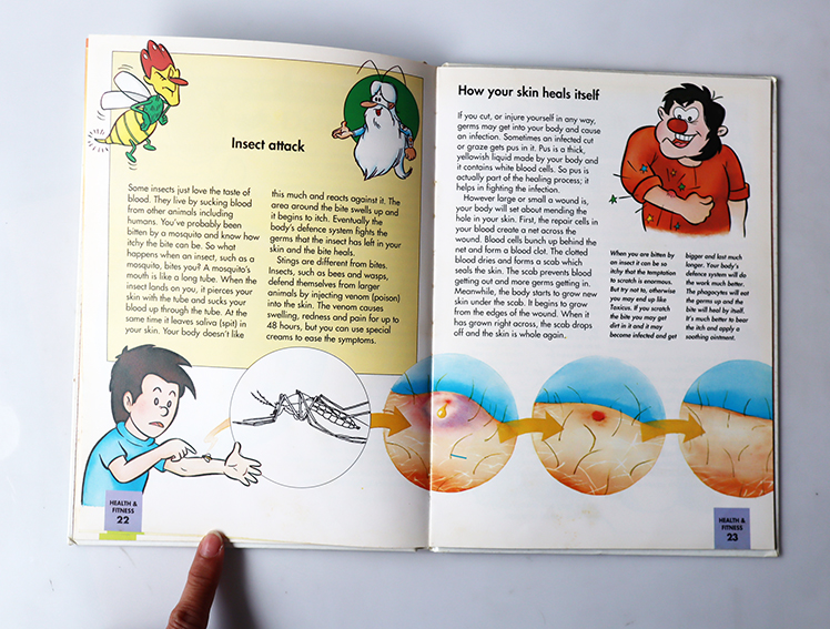 How my body works The Skin