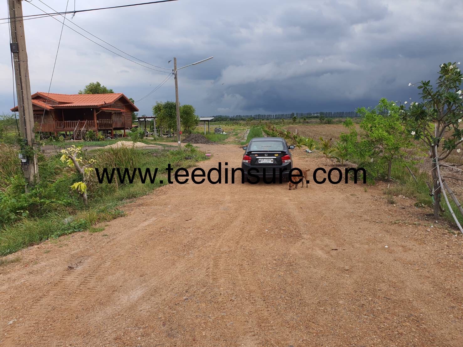 ขายบ้านสวนพร้อมที่ดิน พื้นที่ทั้งหมด 4 ไร่ ต.บ้านแป้ง อ.บางปะอิน จ.พระนครศรีอยุธยา