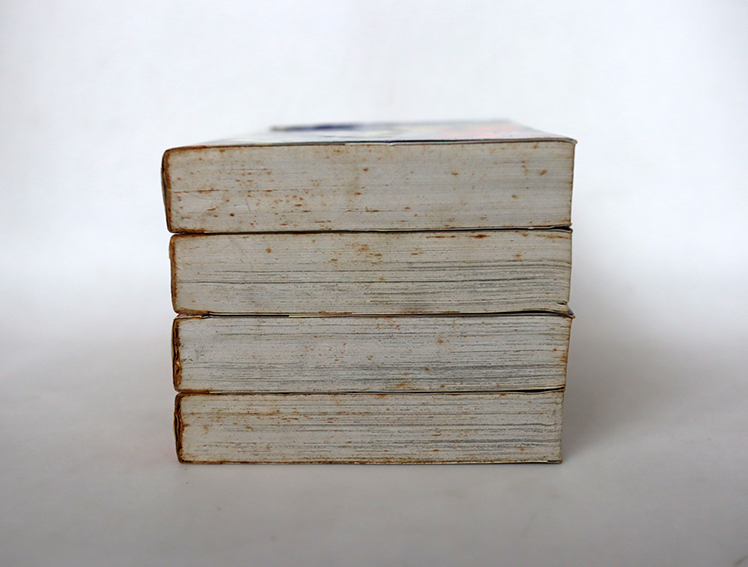 โคตรเซียนซากะ ( 4 เล่มจบ )