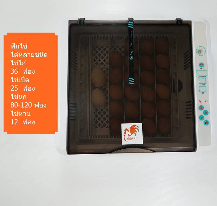 เครื่องฟักไข่อัตโนมัติ 36 ฟอง ตู้ฟักไข่ ตู้อบไข่ ฟักไข่ได้หลายขนาด ไข่ไก่ ไข่ห่าน ไข่นกกระทา
