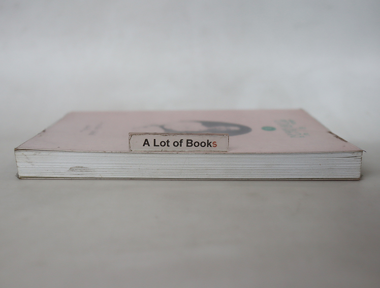 ชีวิตในวัง เล่ม 2