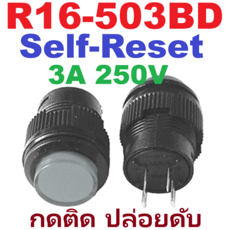 R16-503BD 4 pin 3A 250V AC สวิทช์กดติด ปล่อยดับ มีไฟ LED สีขาว Round Push Button Boat Momentary Switch white Light SPDT สวิตช์