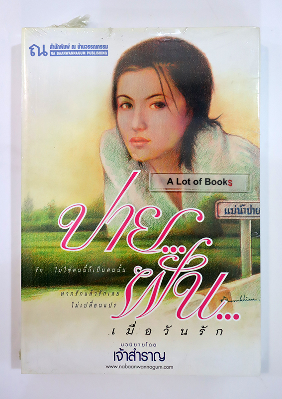 ปายฝัน เมื่อวันรัก