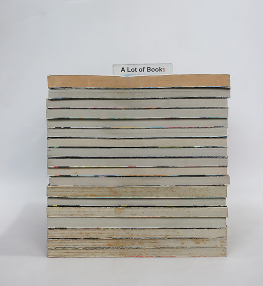 Black Bird ( 18 เล่มจบ )