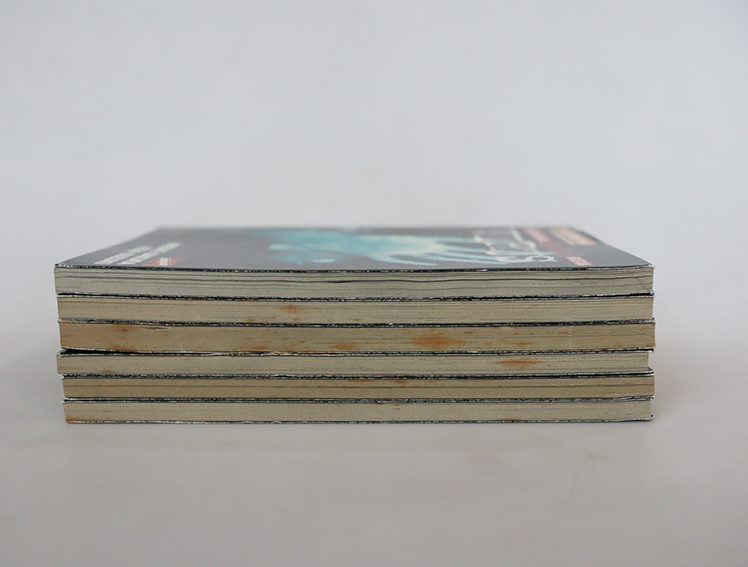 The ring คำสาปมรณะ ( ครบชุด 6 เล่ม )