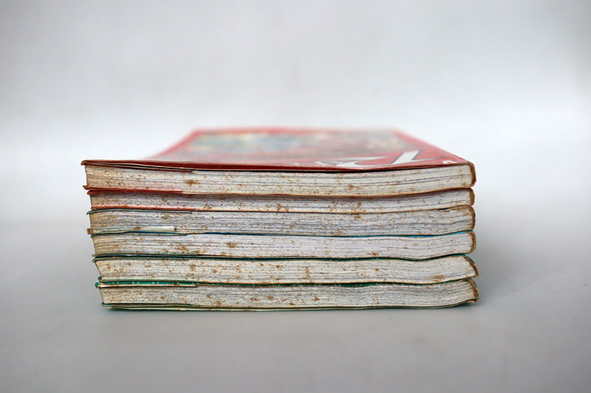 Magic Knight Rayearth เมจิกไนท์ เรย์เอิร์ธ ( 6 เล่มจบ )