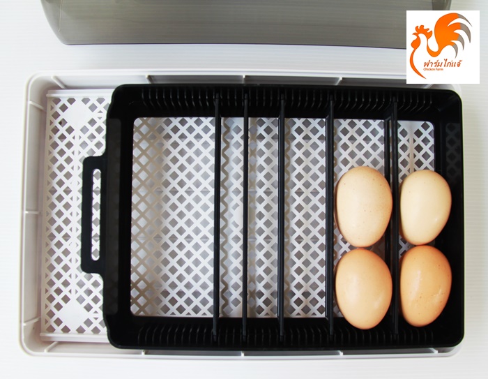 เครื่องฟักไข่อัตโนมัติ 12/35 ฟอง ตู้ฟักไข่ ตู้อบไข่ ฟักไข่ได้หลายขนาด ไข่ไก่ ไข่ห่าน ไข่นกกระทา